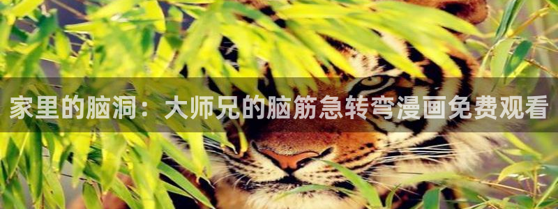 包子漫画怎么搜索：家里的脑洞：大师兄的脑筋急转弯漫画免费观看